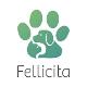 Logo Fellicita